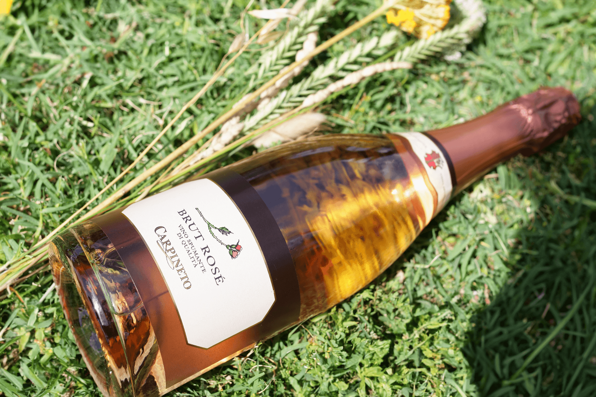 Bollicine, non solo dolci: tre spumanti da bere a tutto pasto

 
